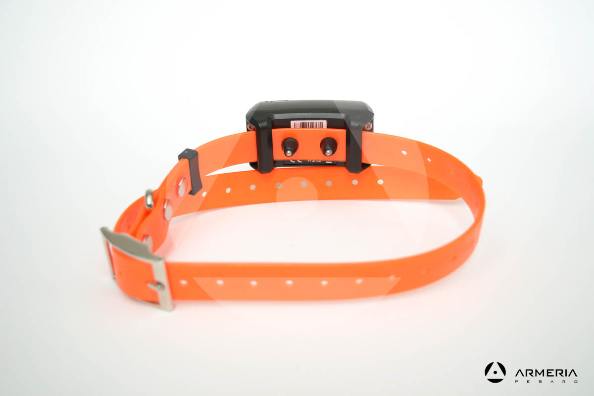 Collare addestramento educativo per cani Canicom 5.800 Num'Axes con telecomando vista 4