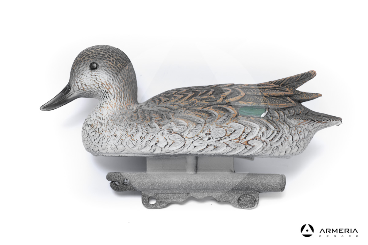 Stampo Alzavola femmina