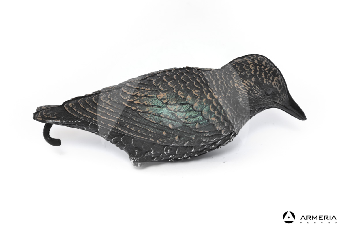 Stampo Storno posato