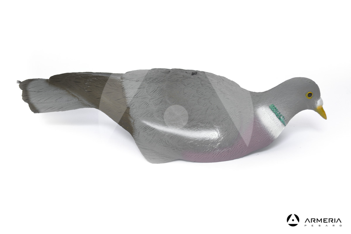 Stampo conchiglia Colombaccio