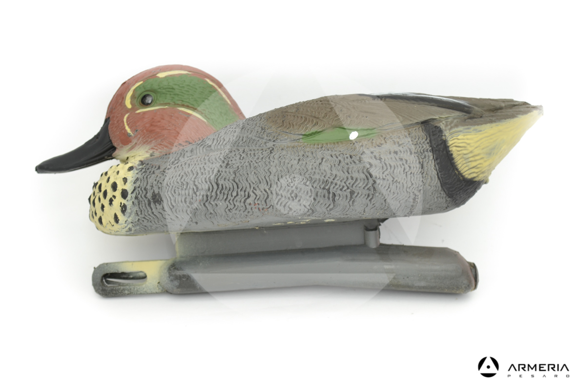 Stampo Alzavola maschio