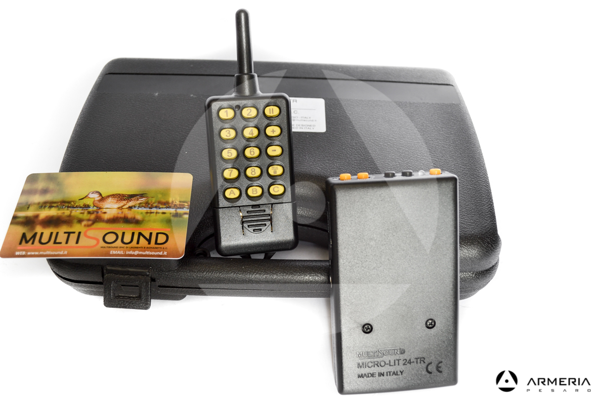 Kit riproduttore digitale Multisound Micro-Lit24