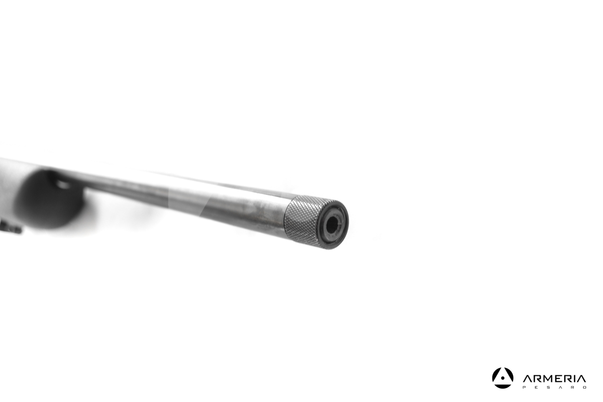 Carabina Bolt Action Diana modello R-22 calibro 22 LR mirino Carabina Bolt Action Diana modello R-22 calibro 22 LR mirino
